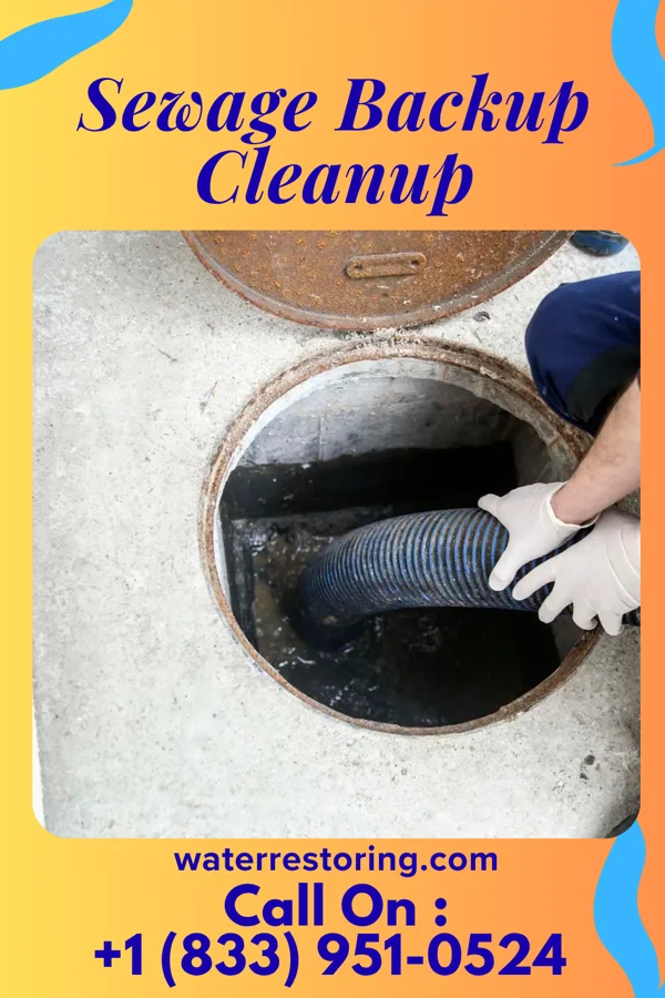 Sewage Backup Cleanup in Cleveland, FL
